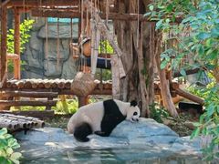 -泉州海丝野生动物世界