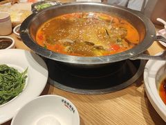 -老凯俚酸汤鱼(多彩城店)