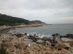 -广东惠东海龟国家级自然保护区