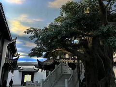 -馋遇江南·精致湖景雅宴(东方之门店)