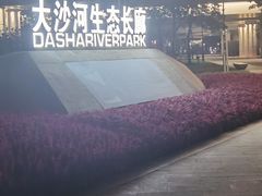 -深圳湾公园(南山区)