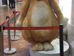 -阳光时代广场