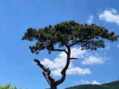 -妙峰山风景名胜区