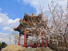 -白水寺森林公园