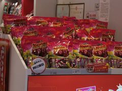-舜华临武鸭·湖南零食特产(三王街店)