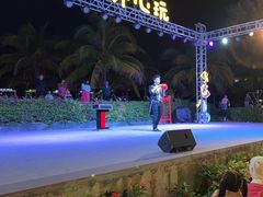 -渔家火锅·海鲜自助餐·演艺(亚龙湾天域酒店)