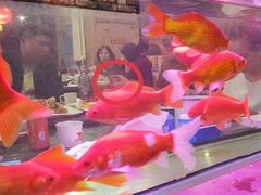 -粗粮人家·东北菜(洋桥店)