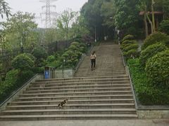 -仙岳公园