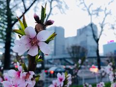 -塚田农场(悠唐店)