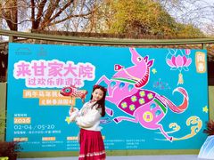 -南京市民俗博物馆(甘熙故居)