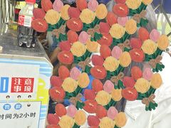 -顺鑫绿色度假村