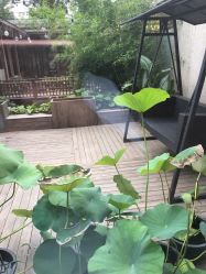 -爱儿美儿童摄影(朝阳公园店)