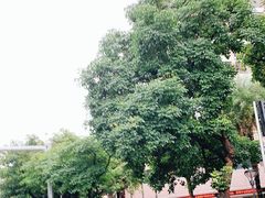 -粤海璇宫·木棉花高空旋转餐厅·聚会派对