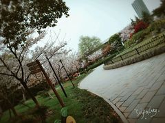 -堤角公园