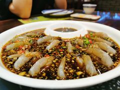 海派生卤虾-蠔友汇(皇姑店)