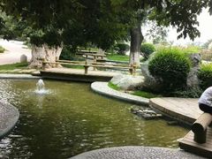 android_upload_pic-中国唐苑