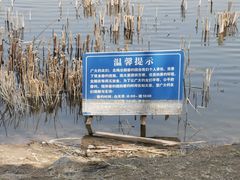 -北坞公园