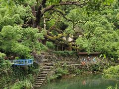 -芦茨金富饭庄·25年老字号·专做稻草鸡