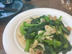 -老广酒楼(樱花店)