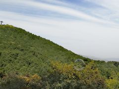 -香山公园