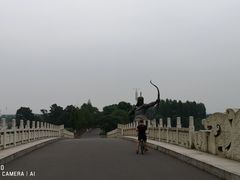 -东湖落雁景区