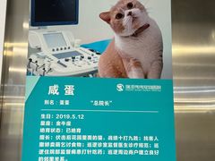 -伟伟宠物医院·CT影像中心·瑞派犬猫综合性门诊(汉口总院)
