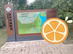 -苏州上方山国家森林公园