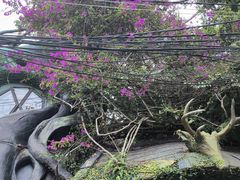 -疯狂屋
