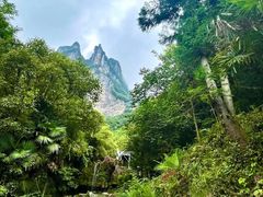 -鹿院坪生态旅游景区