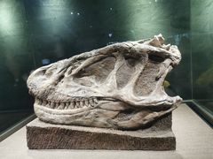 -自贡恐龙博物馆