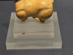 -温州博物馆