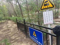 -西青郊野公园