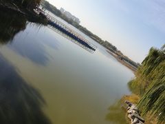 -大兴滨河森林公园