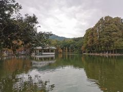 -白云山风景名胜区