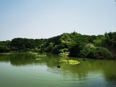 -天生桥景区