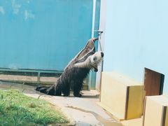 -无锡动物园·太湖欢乐园