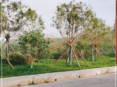 -白鹿原影视城