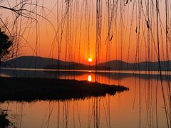 -长广溪湿地公园