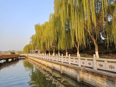 -焦岗湖旅游度假区