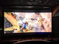 -飞扬影城(正佳IMAX店)