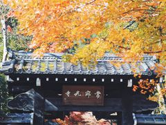 -常寂光寺