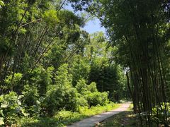 -福建鲤鱼洲酒店