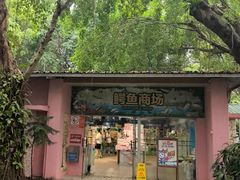 -广州长隆飞鸟乐园