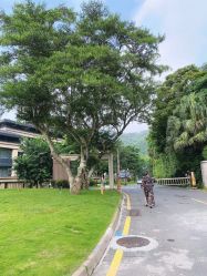 -爱帝宫月子中心(罗湖别墅院)