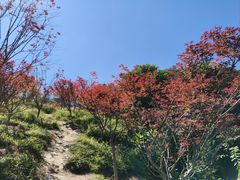 -广州市帽峰山景区