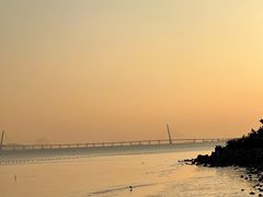 -深圳湾公园(南山区)