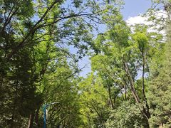 -森林公园(尖草坪区)