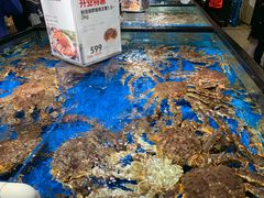 水产区-盒马鲜生(馥邦国际店)