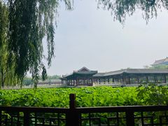 -大明幻境第一城