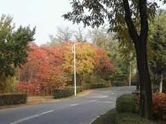 -辽宁大学(崇山校区)